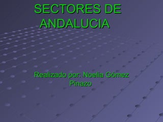 SECTORES DE ANDALUCIA  Realizado por: Noelia Gómez Pinazo  