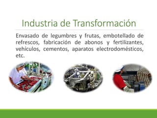 Industria de Transformación 
Envasado de legumbres y frutas, embotellado de 
refrescos, fabricación de abonos y fertilizantes, 
vehículos, cementos, aparatos electrodomésticos, 
etc. 
 