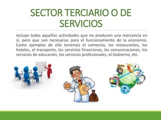 SECTOR TERCIARIO O DE 
SERVICIOS 
Incluye todas aquellas actividades que no producen una mercancía en 
sí, pero que son necesarias para el funcionamiento de la economía. 
Como ejemplos de ello tenemos el comercio, los restaurantes, los 
hoteles, el transporte, los servicios financieros, las comunicaciones, los 
servicios de educación, los servicios profesionales, el Gobierno, etc. 
 
