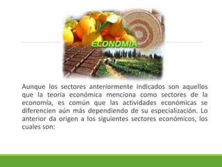 Aunque los sectores anteriormente indicados son aquellos 
que la teoría económica menciona como sectores de la 
economía, es común que las actividades económicas se 
diferencien aún más dependiendo de su especialización. Lo 
anterior da origen a los siguientes sectores económicos, los 
cuales son: 
 