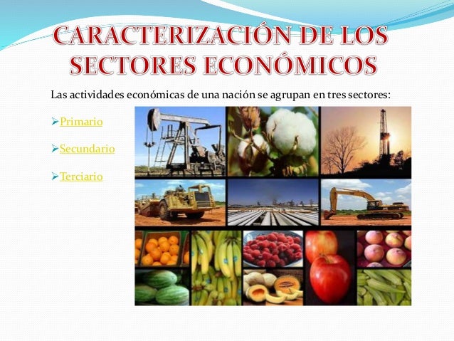Sectores De La Economia