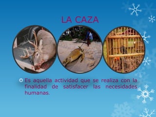 LA CAZA




 Es aquella actividad que se realiza con la
  finalidad de satisfacer las necesidades
  humanas.
 
