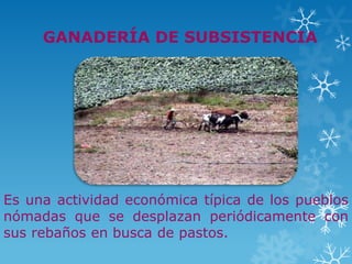 GANADERÍA DE SUBSISTENCIA




Es una actividad económica típica de los pueblos
nómadas que se desplazan periódicamente con
sus rebaños en busca de pastos.
 