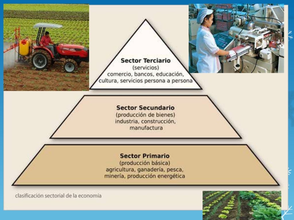 Sectores de la economía de panamá