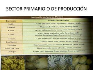 SECTOR PRIMARIO O DE PRODUCCIÓN

M.sc Roberto A. Marín

 