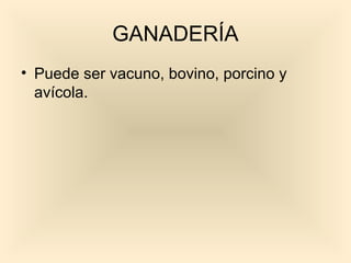 GANADERÍA
• Puede ser vacuno, bovino, porcino y
  avícola.
 