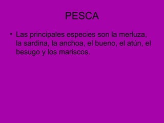 PESCA
• Las principales especies son la merluza,
  la sardina, la anchoa, el bueno, el atún, el
  besugo y los mariscos.
 