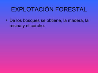 EXPLOTACIÓN FORESTAL
• De los bosques se obtiene, la madera, la
  resina y el corcho.
 