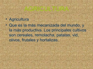 AGRICULTURA
• Agricultura .
• Que es la más mecanizada del mundo, y
  la más productiva. Los principales cultivos
  son cereales, remolacha, patatas, vid,
  olivos, frutales y hortalizas.
 