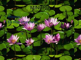 MINERÍA
• Minería.
• Es muy importante.


         .
 