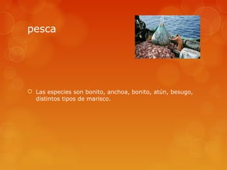 pesca




 Las especies son bonito, anchoa, bonito, atún, besugo,
  distintos tipos de marisco.
 