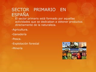 SECTOR          PRIMARIO          EN
ESPAÑA
- El sector primario está formado por aquellas
  actividades que se dedicaban a obtener productos
  directamente de la naturaleza.
-Agricultura.
-Ganadería
-Pesca.
-Explotación forestal
-Minería
 