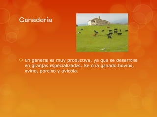 Ganadería




 En general es muy productiva, ya que se desarrolla
  en granjas especializadas. Se cría ganado bovino,
  ovino, porcino y avícola.
 