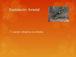 Explotación forestal




 Cuando ytilizamos los árboles
 