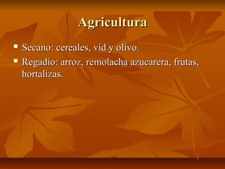 Agricultura
   Secano: cereales, vid y olivo.
   Regadío: arroz, remolacha azucarera, frutas,
    hortalizas.
 