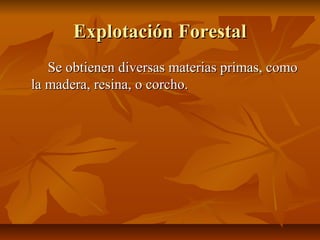 Explotación Forestal
   Se obtienen diversas materias primas, como
la madera, resina, o corcho.
 