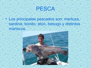 PESCA
• Los principales pescados son: merluza,
  sardina, bonito, atún, besugo y distintos
  mariscos.
 