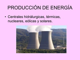 PRODUCCIÓN DE ENERGÍA
• Centrales hidrálurgicas, térmicas,
  nucleares, eólicas y solares.
 