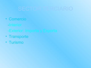 SECTOR TERCIARIO
• Comercio
 -Interior
 -Exterior: Importa y Exporta
• Transporte
• Turismo
 