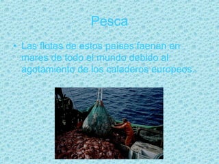 Pesca
• Las flotas de estos países faenan en
  mares de todo el mundo debido al
  agotamiento de los caladeros europeos.
 