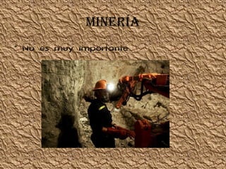 MINERÍA
• No es muy importante
 