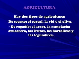 AGRICULTURA

     Hay dos tipos de agricultura:
· De secano: el cereal, la vid y el olivo.
  · De regadío: el arroz, la remolacha
  azucarera, las frutas, las hortalizas y
             las legumbres.
 