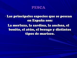 PESCA

· Las principales especies que se pescan
               en España son:
  La merluza, la sardina, la anchoa, el
   bonito, el atún, el besugo y distintos
             tipos de marisco.
 