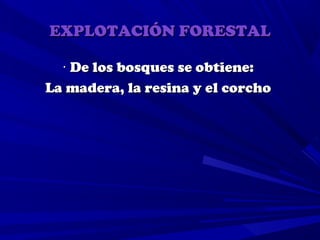 EXPLOTACIÓN FORESTAL

  · De los bosques se obtiene:
La madera, la resina y el corcho
 