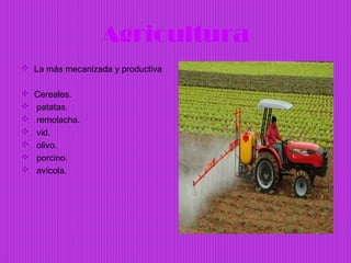 Agricultura
 La más mecanizada y productiva

   Cereales.
   patatas.
   remolacha.
   vid.
   olivo.
   porcino.
   avícola.
 