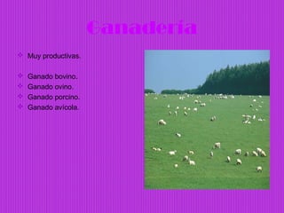 Ganadería
 Muy productivas.

   Ganado bovino.
   Ganado ovino.
   Ganado porcino.
   Ganado avícola.
 