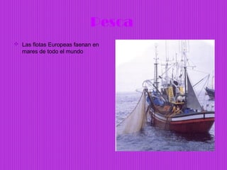 Pesca
 Las flotas Europeas faenan en
  mares de todo el mundo
 