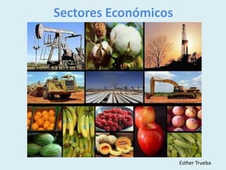 Sectores Económicos




                      Esther Trueba
 