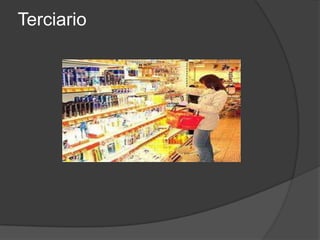 Terciario
 
