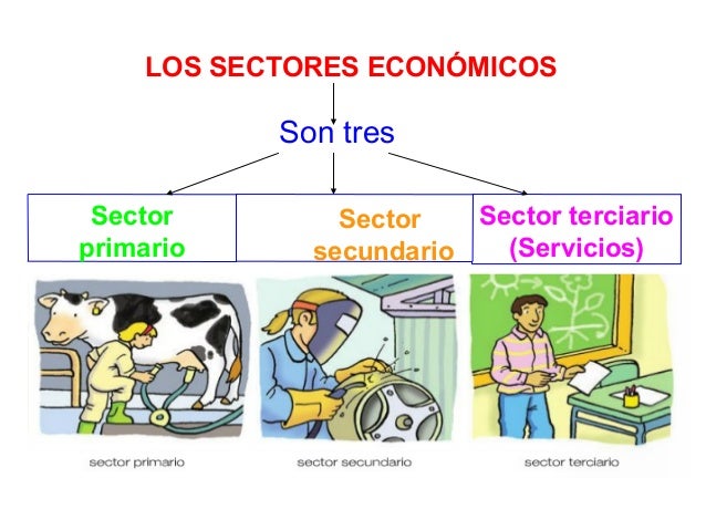 Resultado de imagen de los sectores economicos