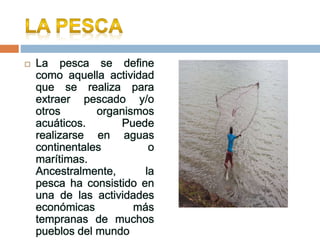  La pesca se define
como aquella actividad
que se realiza para
extraer pescado y/o
otros organismos
acuáticos. Puede
realizarse en aguas
continentales o
marítimas.
Ancestralmente, la
pesca ha consistido en
una de las actividades
económicas más
tempranas de muchos
pueblos del mundo
 