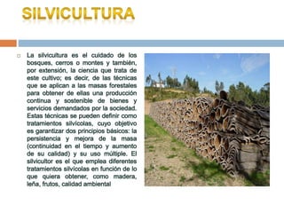  La silvicultura es el cuidado de los
bosques, cerros o montes y también,
por extensión, la ciencia que trata de
este cultivo; es decir, de las técnicas
que se aplican a las masas forestales
para obtener de ellas una producción
continua y sostenible de bienes y
servicios demandados por la sociedad.
Estas técnicas se pueden definir como
tratamientos silvícolas, cuyo objetivo
es garantizar dos principios básicos: la
persistencia y mejora de la masa
(continuidad en el tiempo y aumento
de su calidad) y su uso múltiple. El
silvicultor es el que emplea diferentes
tratamientos silvícolas en función de lo
que quiera obtener, como madera,
leña, frutos, calidad ambiental
 