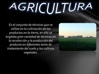 Es el conjunto de técnicas que se
utiliza en la cultivación de los
productos en la tierra, en ella se
engloba gran variedad de técnicas en
la recolección y la producción del
producto en diferentes tema de
tratamiento del suelo y los cultivos
vegetales.
 