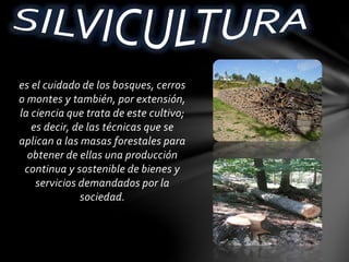 es el cuidado de los bosques, cerros
o montes y también, por extensión,
la ciencia que trata de este cultivo;
es decir, de las técnicas que se
aplican a las masas forestales para
obtener de ellas una producción
continua y sostenible de bienes y
servicios demandados por la
sociedad.
 