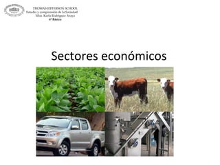 Sectores económicos THOMAS JEFFERSON SCHOOL Estudio y comprensión de la Sociedad  Miss. Karla Rodríguez Araya 6º Básico 