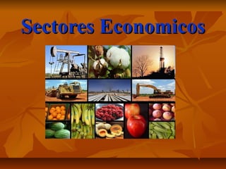 Sectores EconomicosSectores Economicos
 