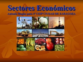 Sectores Económicos
Antonio Megías para 4º CEIP CIUDAD DE ZARAGOZA
 