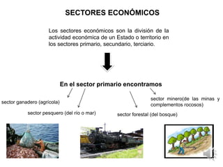 SECTORES ECONÓMICOS

                     Los sectores económicos son la división de la
                     actividad económica de un Estado o territorio en
                     los sectores primario, secundario, terciario.




                             En el sector primario encontramos

                                                               sector minero(de las minas y
sector ganadero (agrícola)
                                                               complementos rocosos)
           sector pesquero (del río o mar)      sector forestal (del bosque)
 
