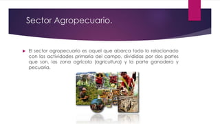 Sector Agropecuario.
 El sector agropecuario es aquel que abarca todo lo relacionado
con las actividades primaria del campo, divididas por dos partes
que son, las zona agrícola (agricultura) y la parte ganadera y
pecuaria.
 
