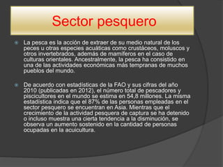Sector pesquero
 La pesca es la acción de extraer de su medio natural de los
peces u otras especies acuáticas como crustáceos, moluscos y
otros invertebrados, además de mamíferos en el caso de
culturas orientales. Ancestralmente, la pesca ha consistido en
una de las actividades económicas más tempranas de muchos
pueblos del mundo.
 De acuerdo con estadísticas de la FAO y sus cifras del año
2010 (publicadas en 2012), el número total de pescadores y
piscicultores en el mundo se estima en 54,8 millones. La misma
estadística indica que el 87% de las personas empleadas en el
sector pesquero se encuentran en Asia. Mientras que el
crecimiento de la actividad pesquera de captura se ha detenido
o incluso muestra una cierta tendencia a la disminución, se
observa un aumento sostenido en la cantidad de personas
ocupadas en la acuicultura.
 