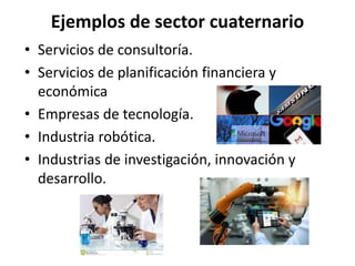 Ejemplos de sector cuaternario
• Servicios de consultoría.
• Servicios de planificación financiera y
económica
• Empresas de tecnología.
• Industria robótica.
• Industrias de investigación, innovación y
desarrollo.
 