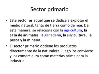 Sector primario
• Este sector es aquel que se dedica a explotar el
medio natural, tanto de tierra como de mar. De
esta manera, se relaciona con la agricultura, la
caza de animales, la ganadería, la silvicultura, la
pesca y la minería.
• El sector primario obtiene los productos
directamente de la naturaleza, luego los convierte
y los comercializa como materias prima para la
industria.
 