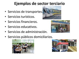 Ejemplos de sector terciario
• Servicios de transportes.
• Servicios turísticos.
• Servicios financieros.
• Servicios educativos.
• Servicios de administración.
• Servicios públicos domiciliarios.
 