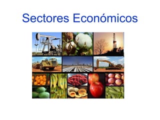 Sectores Económicos
 