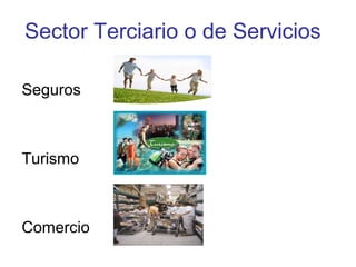 Sector Terciario o de Servicios

Seguros



Turismo



Comercio
 