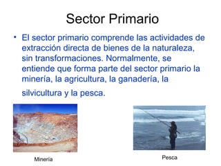 Sector Primario
• El sector primario comprende las actividades de
  extracción directa de bienes de la naturaleza,
  sin transformaciones. Normalmente, se
  entiende que forma parte del sector primario la
  minería, la agricultura, la ganadería, la
  silvicultura y la pesca.




     Minería                          Pesca
 